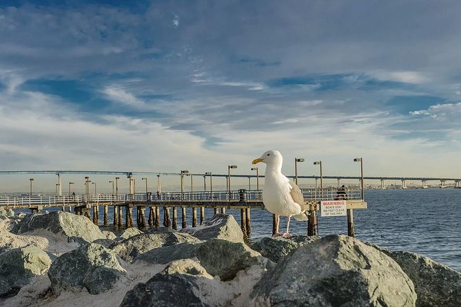 All Day San Diego Scenic Tour - Guide quality and the amount you will learn
