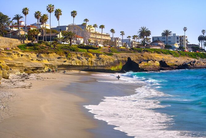 Arrival Private Transfer: San Diego Airport SAN to San Diego in Luxury SUV - Sixty Minutes of Waiting Time for Delayed Flights