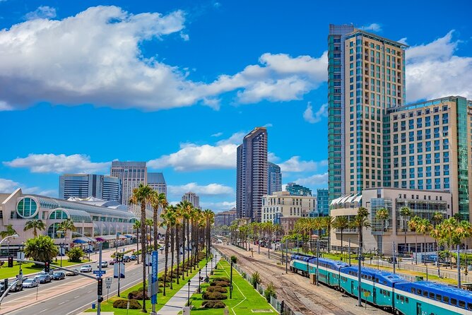 Arrival Private Transfer: San Diego Airport SAN to San Diego in Luxury SUV - Booking Timing, Tickets, and Changes
