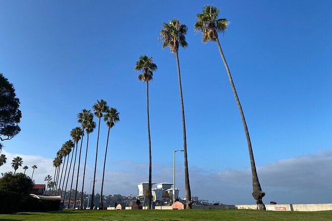 Beach Yoga in San Diego - Who will enjoy this beach yoga most