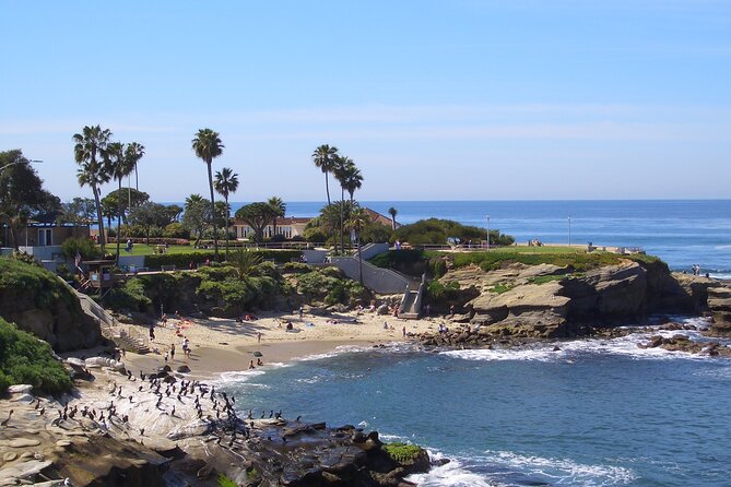 Beaches & Bluffs San Diego's Ultimate Coastal Driving Tour - Ocean Beach keeps the route informal