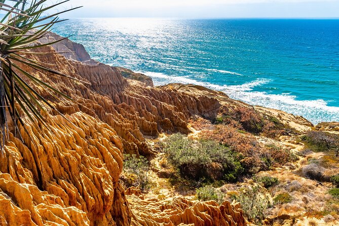 Beaches & Bluffs San Diego's Ultimate Coastal Driving Tour - Gliderport and Birch Aquarium: two optional detours