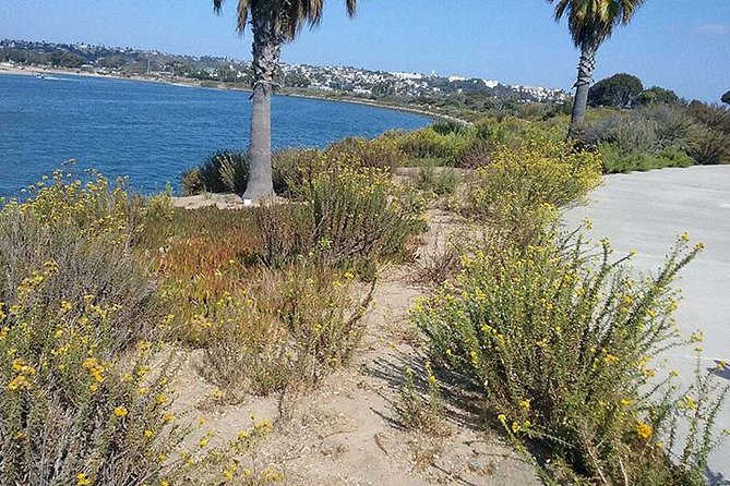 Bike Around San Diego Bay to the Ocean - Timing, group size, and weather planning