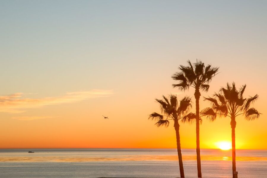 California Sunset Brewery Tour - The coastal route adds more than a photo stop