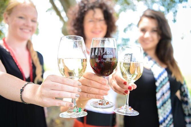 Chauffeured Adventure to Local San Diego Vineyards - Key points at a glance