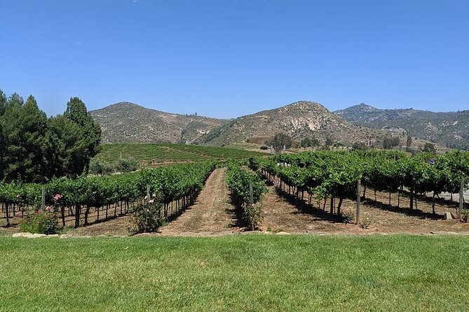 Chauffeured Adventure to Local San Diego Vineyards - Bernardo Winery: shops, history, and an easygoing start