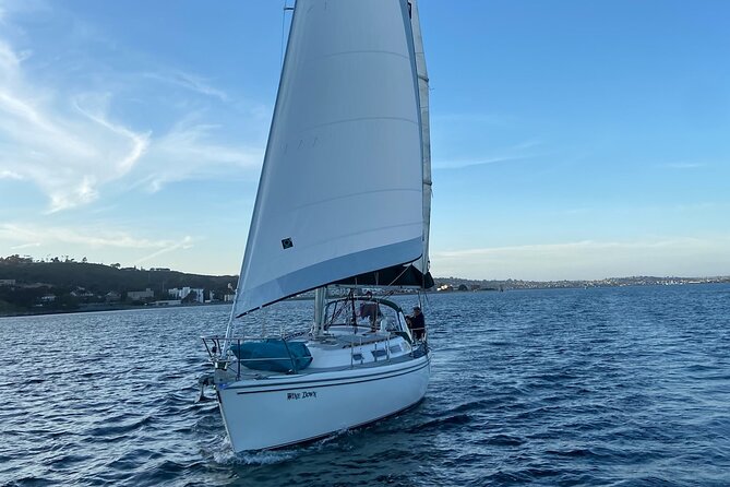 Deluxe Day Sail in San Diego - Downtown views from the bay