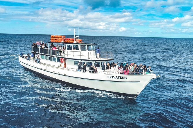 Dolphin and Whale Watching Sunset Cruise - Leaving Mission Bay at 1617 Quivira Road
