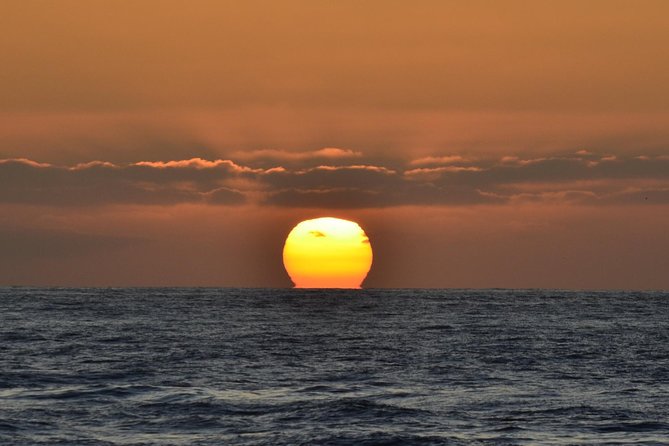 Dolphin and Whale Watching Sunset Cruise - Should you book the Mission Bay sunset cruise?