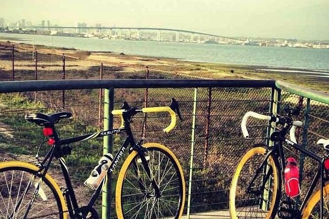 eBike Tours on Coronado - San Diego Bay and the skyline viewpoint