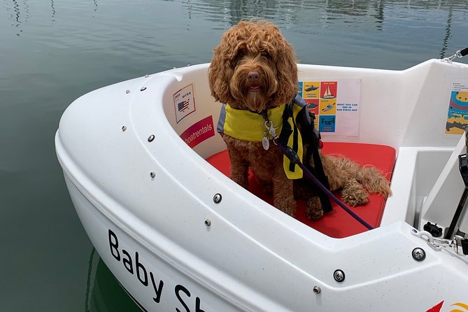 Glow Nightime Pedal Boat Rental in San Diego Bay - Is $105 a fair price?