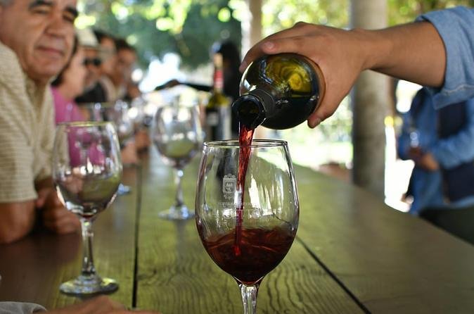 Grand Mexico Wine Country Tour from San Diego - Key points to know before booking