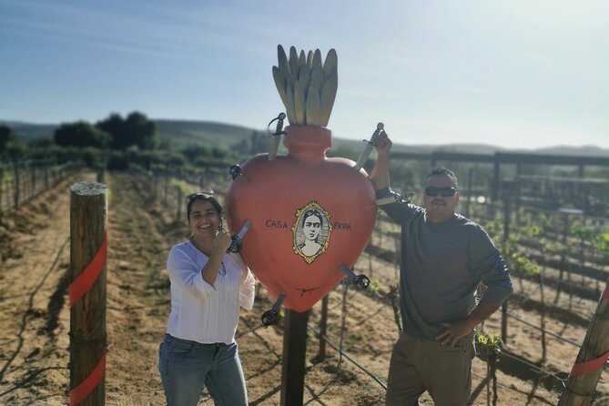 Grand Mexico Wine Country Tour from San Diego - Meeting at 8:30 a.m. in San Ysidro