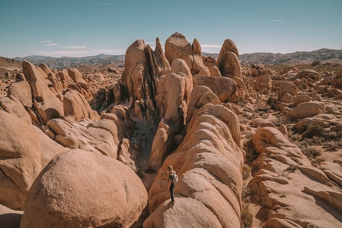 Joshua Tree NP Tour from San Diego (Private) - Why this private Joshua Tree day trip works