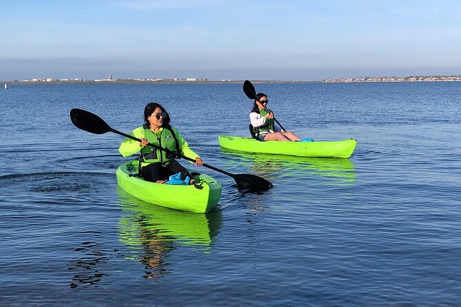 Kayak on the San Diego Bay - Is $20 a good value?