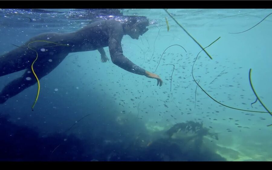 La Jolla: 2.5-Hour Kayak and Snorkel Tour - Cold water, sun, and other small realities