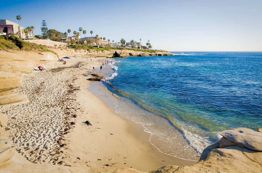 La Jolla Free fall Electric Bike Tour - The downhill route makes 15 miles manageable