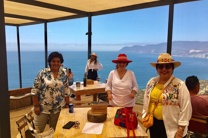 Luxury Private Wine Tasting Tour to Guadalupe Valley from San Diego - The final tasting at Viña de Liceaga