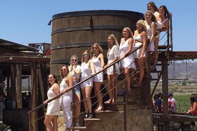 Luxury Private Wine Tasting Tour to Guadalupe Valley from San Diego - What private transportation adds