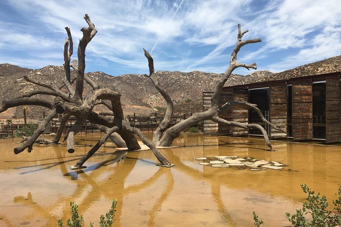 Luxury Private Wine Tasting Tour to Guadalupe Valley from San Diego - Is $269 a fair price?