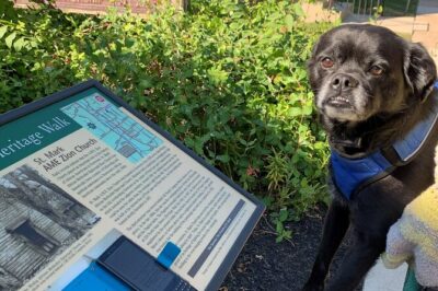 Mysteries on the Move: Scavenger Hunt in San Diego