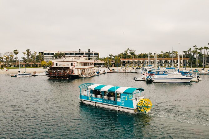 Paddle Pub San Diego Party Cruise: Drinks & Dancing for up to 26 - Key points to know before you book