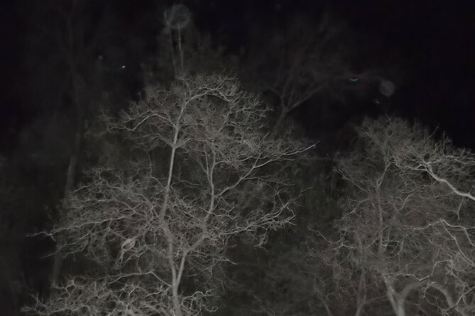 Paranormal Investigation History & Ghost Tour Old Town San Diego - What $55 means in practical value