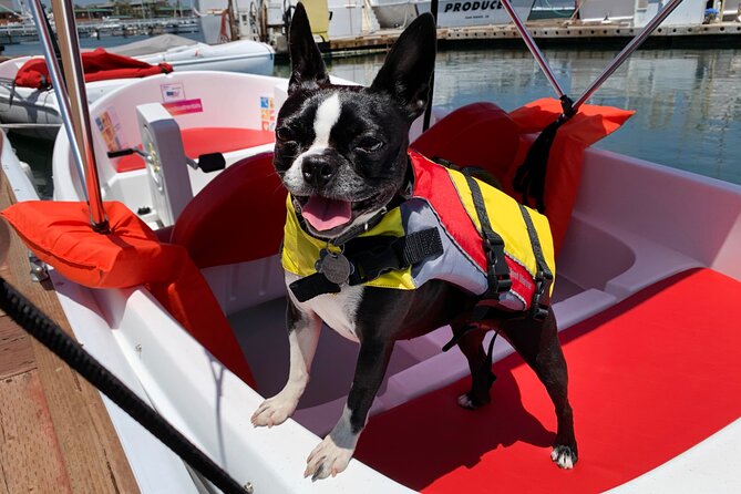 Pedal Boat rental in hidden part of San Diego Bay! Family fun - Families, couples, and dogs