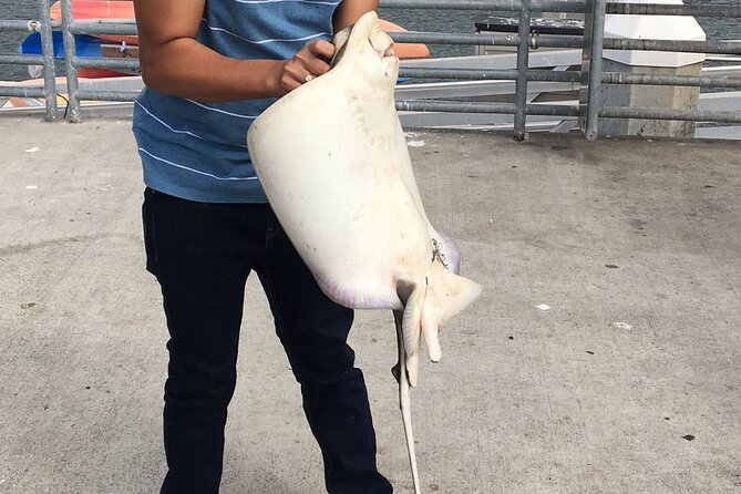 Pier Fishing Tour - San Diego - Starting at 1776 Shelter Island Drive