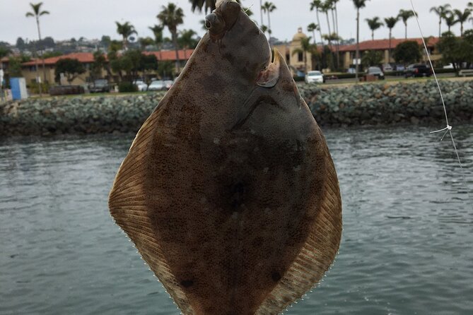 Pier Fishing Tour - San Diego - Why the short duration can work well