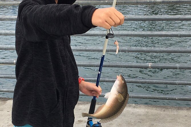 Pier Fishing Tour - San Diego - Two hours on a catch-and-release pier