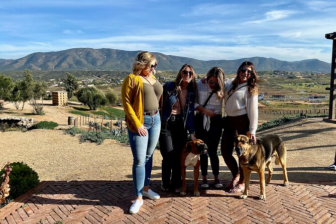 Premium Valle de Guadalupe Wine and Food Tour - What the scenery adds to the day