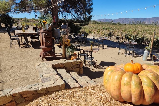 Premium Valle de Guadalupe Wine and Food Tour - Border timing and the practical side of Baja