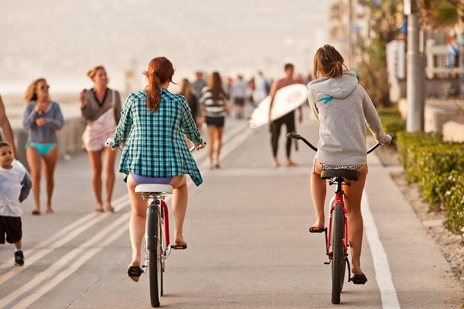 Private Family Whale & Dolphin Adventure in San Diego - Key points to know before booking