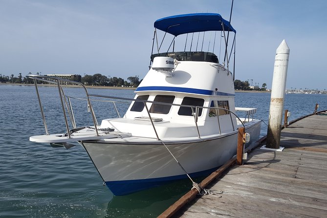 Private Half-Day San Diego Fishing Trip for up to 6 People - What you may fish for near the kelp forests