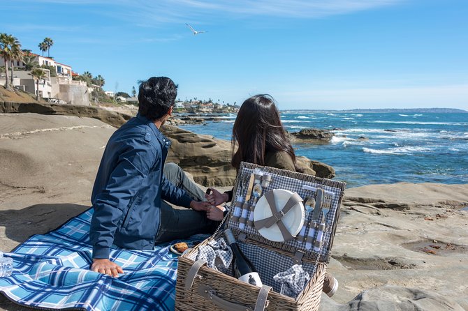 Private La Jolla Tour by Sidecar - La Jolla Cove, the cave, and the sea lions