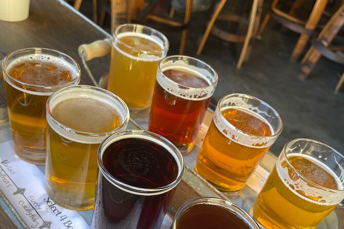 Private San Diego Beer Tasting Tour - Key points at a glance