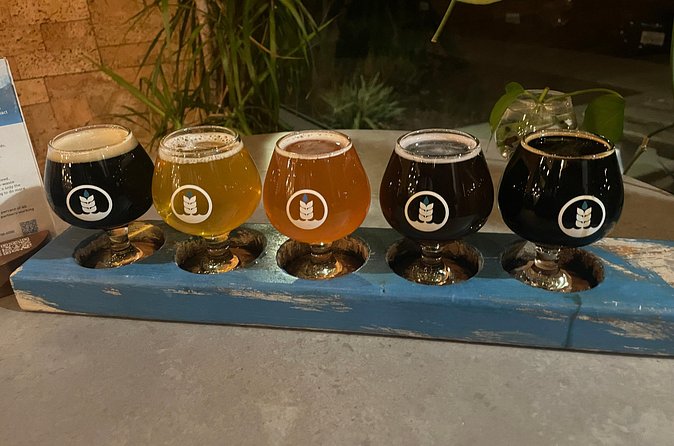 Private San Diego Beer Tasting Tour - What happens at each brewery