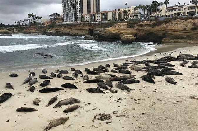 Private Segway Experience Through La Jolla - Coastal views, white sand, and ocean pools