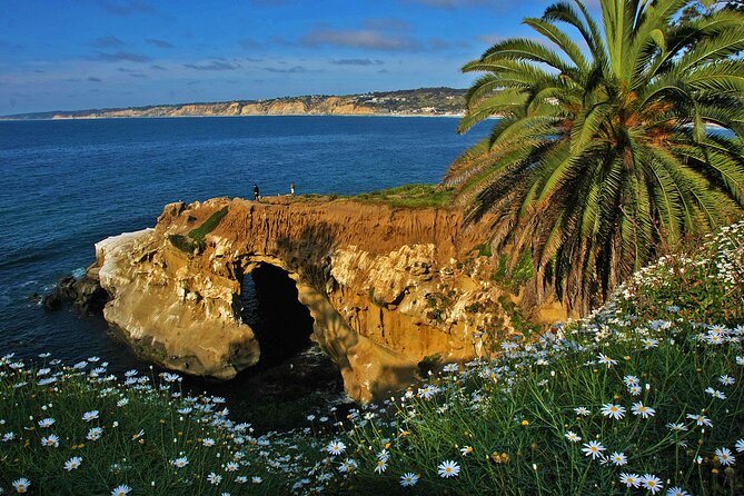 Private Shuttled Coastal Gems Scenic Customizable Tour - La Jolla: polished homes, cliffs, and sea life