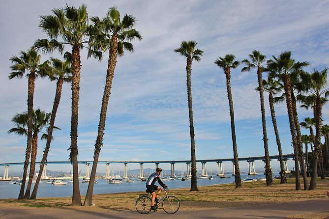 Private Shuttled Coastal Gems Scenic Customizable Tour - Crossing the bay toward Coronado