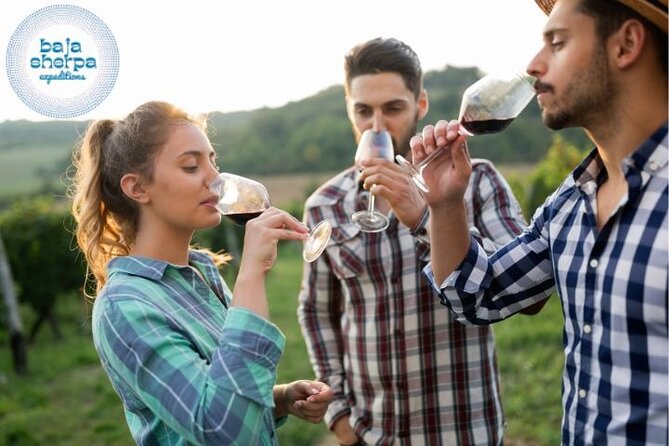 Private Tour Premium Wineries in the Valle de Guadalupe - Villa Montefiori connects Italy with Baja