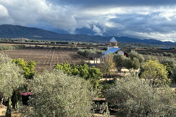 Private Tour Premium Wineries in the Valle de Guadalupe - The vehicle choice changes the feel of the day
