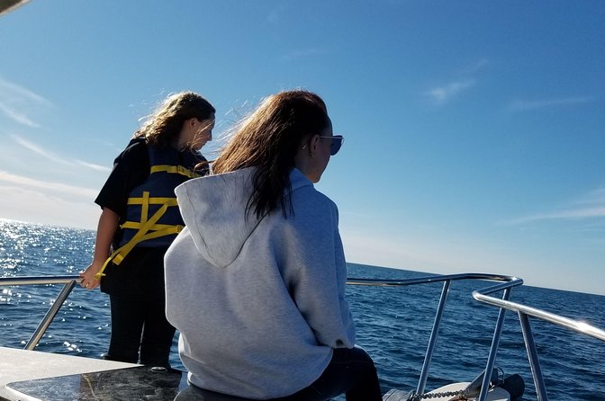 Romantic Wine and Cheese Boat Tower Cruise - What Captain Rich adds to the 90 minutes