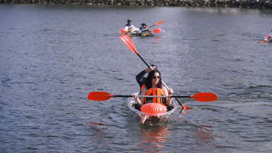 San Diego: 2024 Crystal Clear Kayak Rental - What the clear kayak adds to San Diego Bay