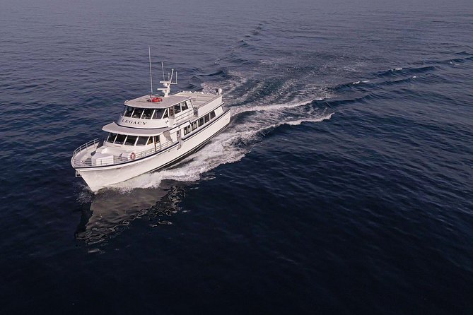 San Diego: 3 Hour Whale Watching Cruise - Key points at a glance