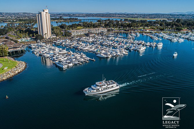 San Diego: 3 Hour Whale Watching Cruise - Three hours searching the open ocean