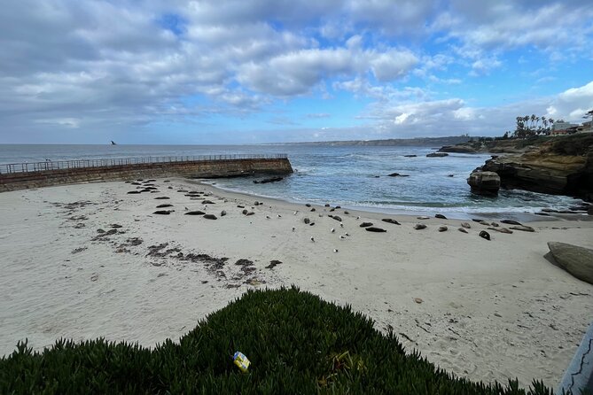 San Diego 5 Hour Tour (Private) - Cabrillo National Monument and Point Loma views