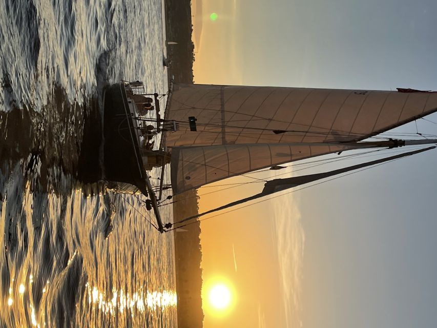 San Diego: Classic Yacht Sailing Experience - Sea lions, dolphins, and birds are possible extras