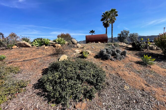 San Diego County Wine Tour (Private) - A private route through San Diego County wine country